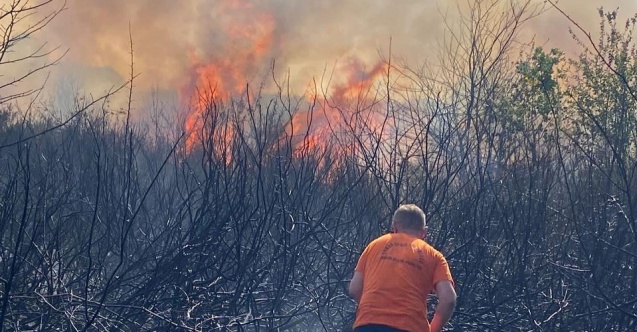Hendek'te temizlik için yakılan fındık dalları yangın çıkardı